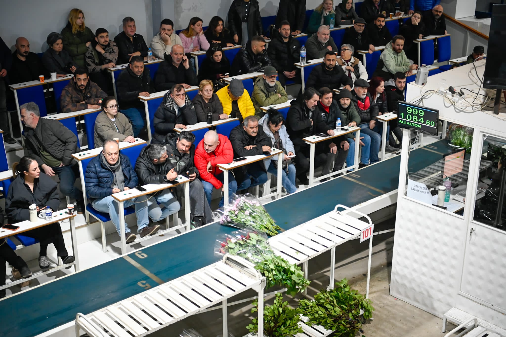 I M G 20260211 W A0015