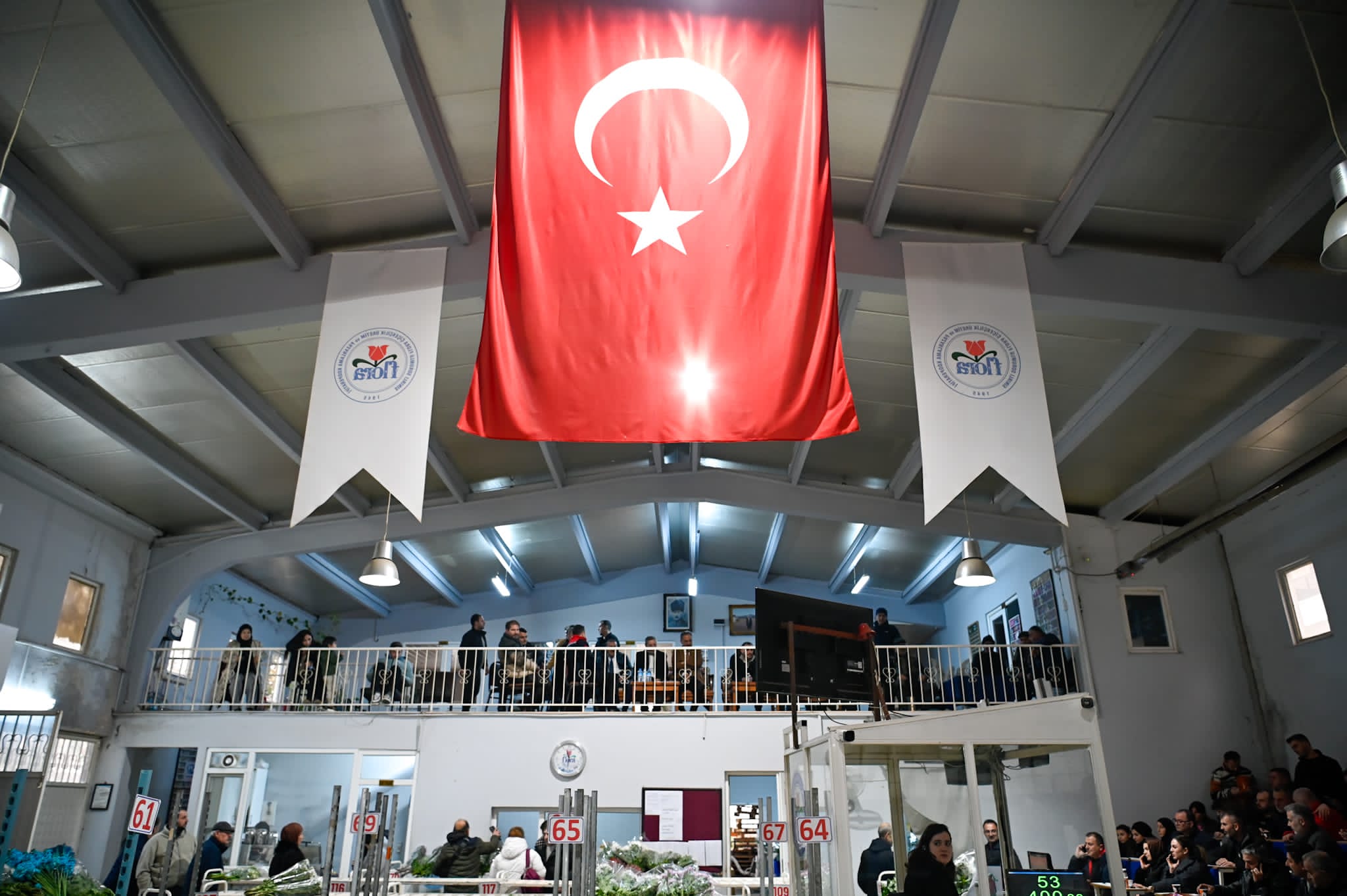 I M G 20260211 W A0024