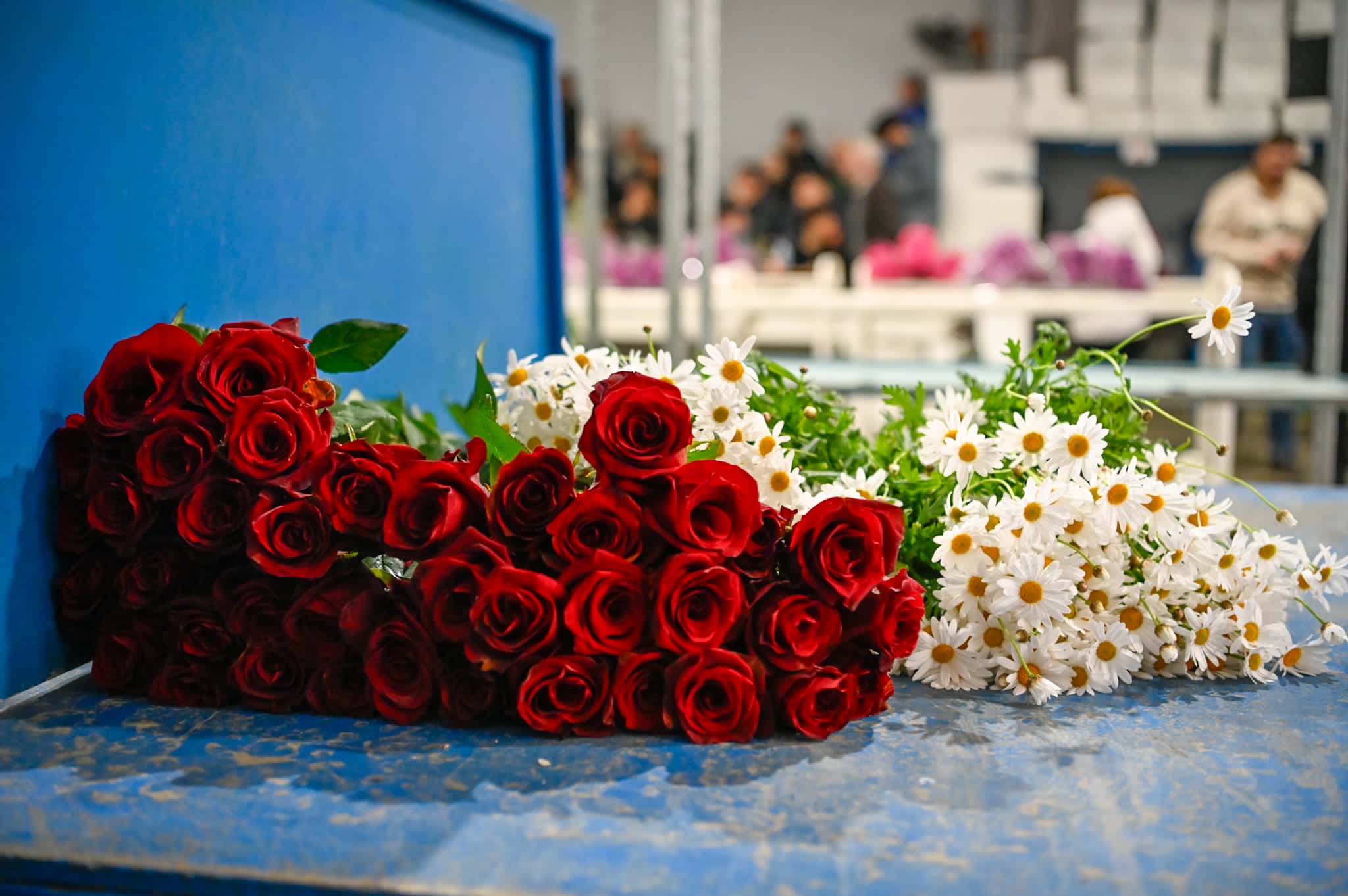 I M G 20260211 W A0025