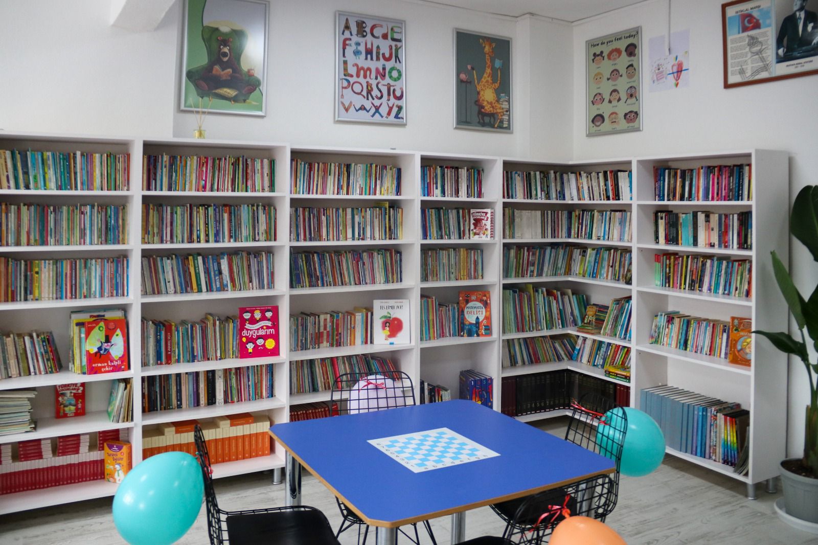 I M G 20260217 W A0045