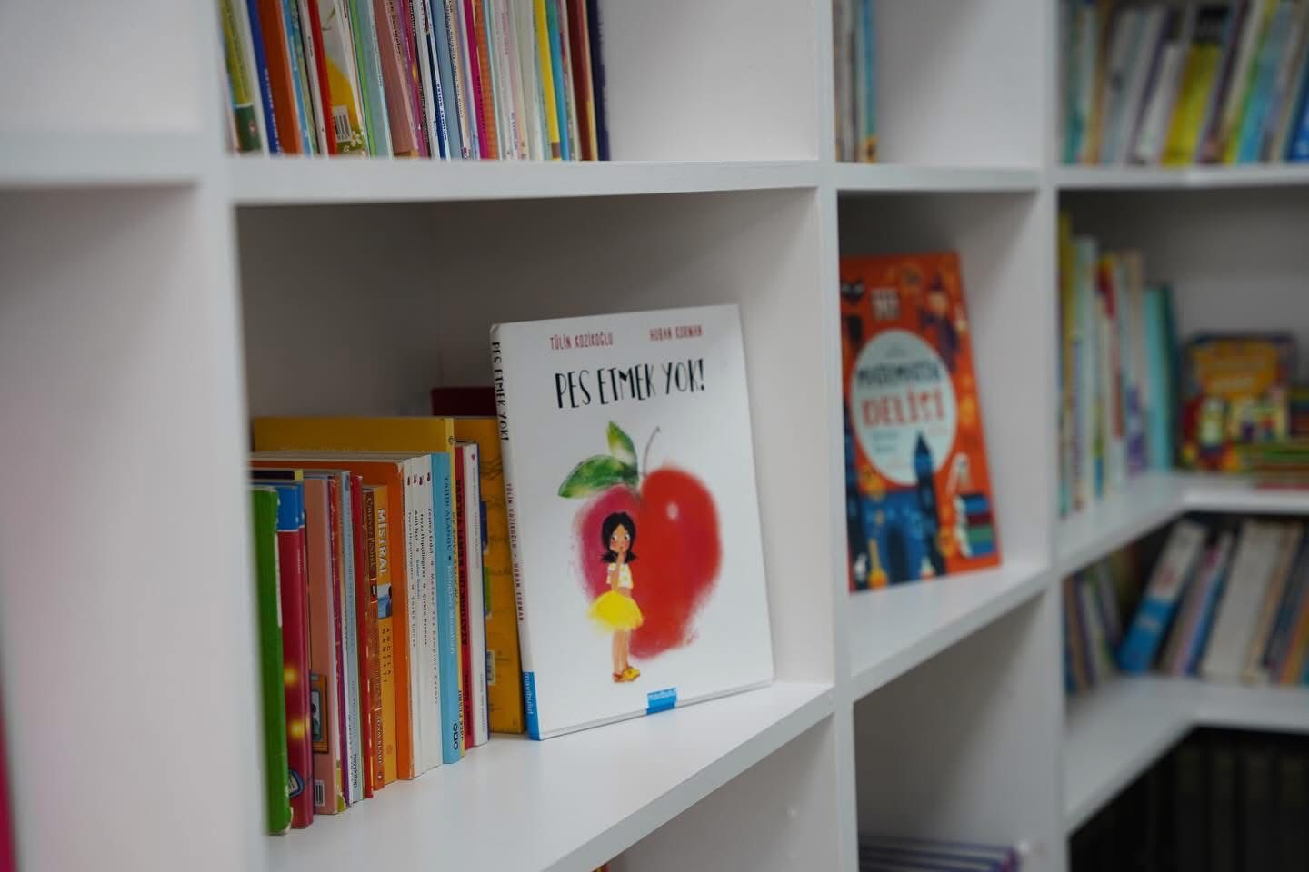 I M G 20260217 W A0047