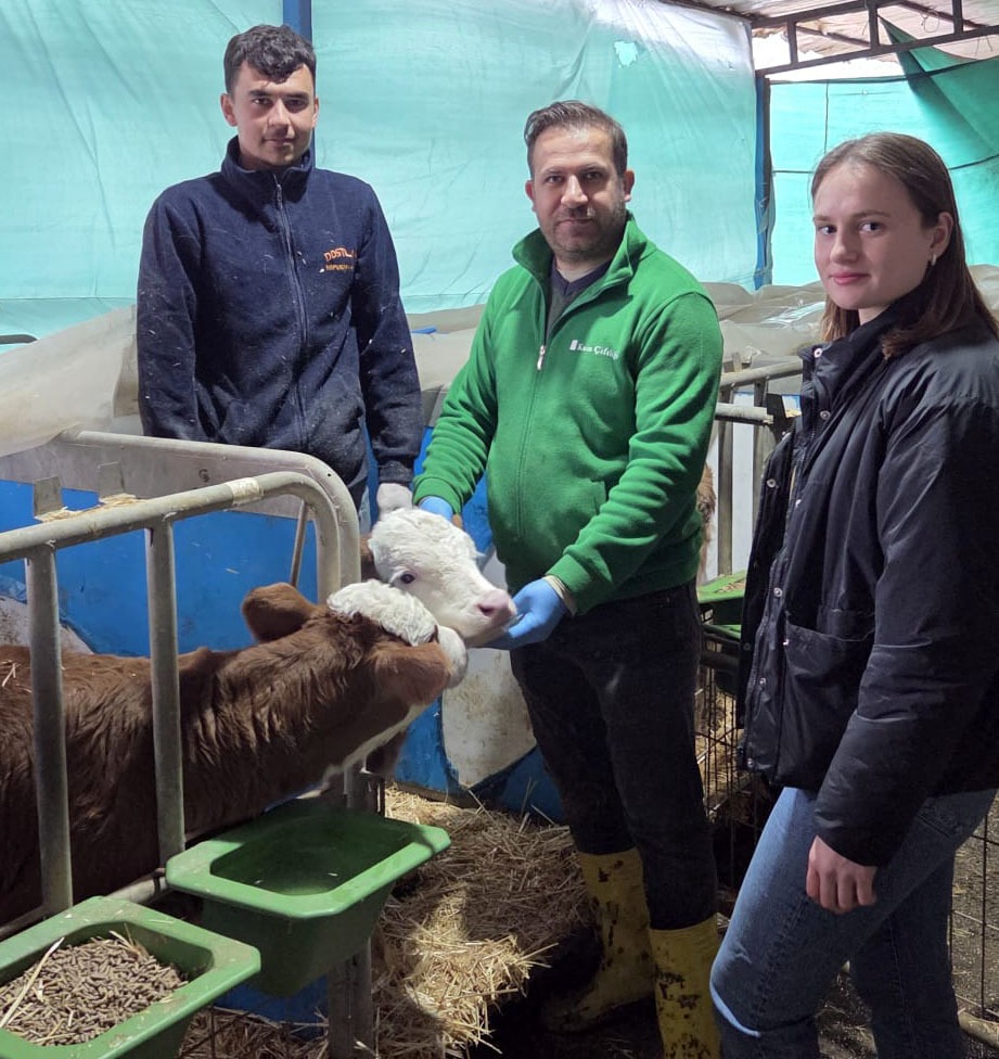 I M G 20260218 W A0000