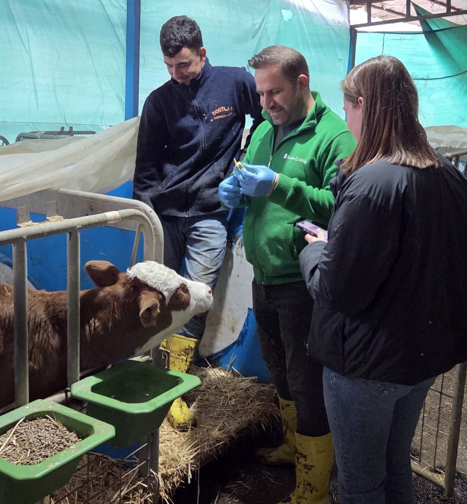 I M G 20260218 W A0001