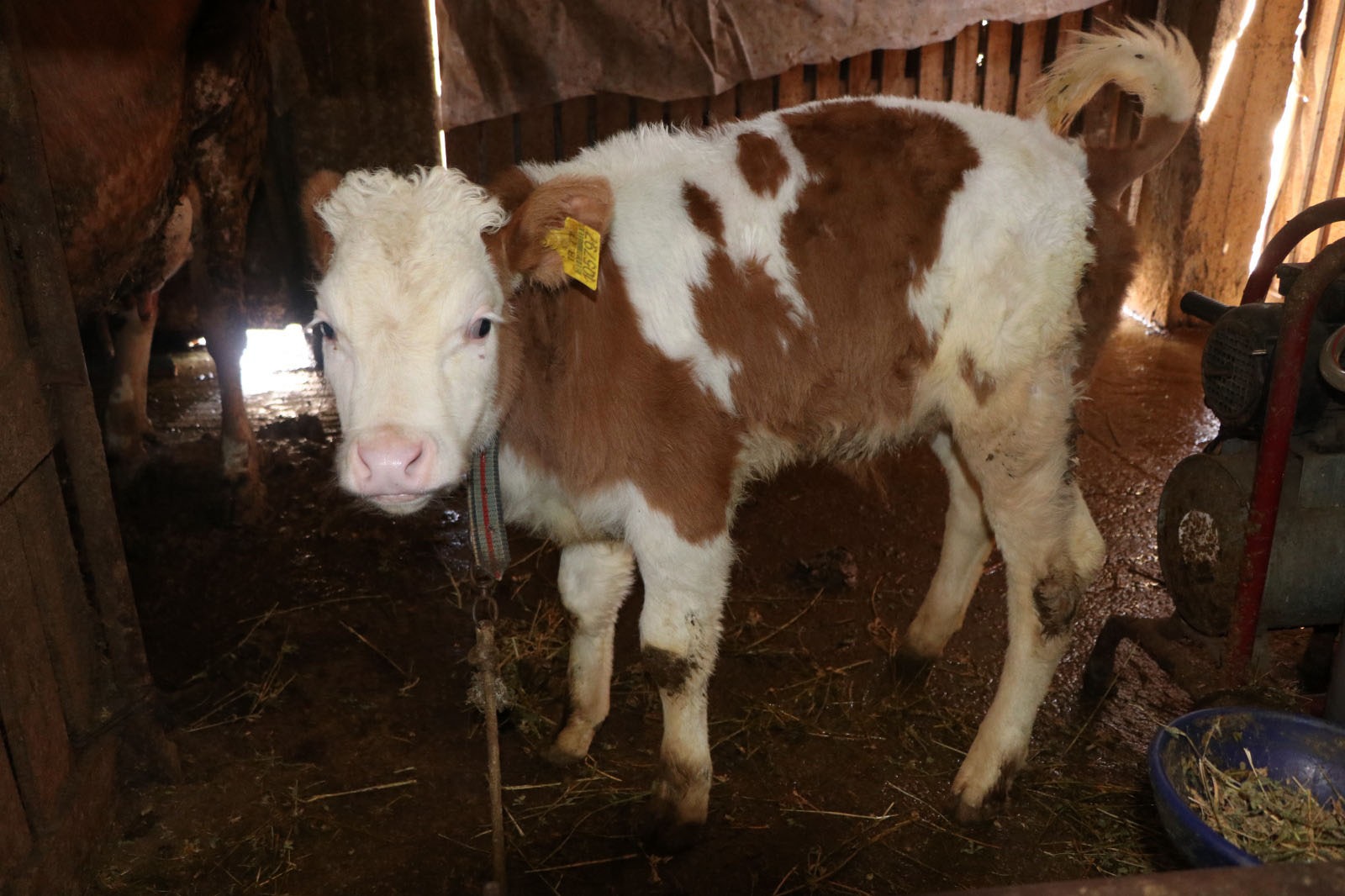 I M G 20260218 W A0002