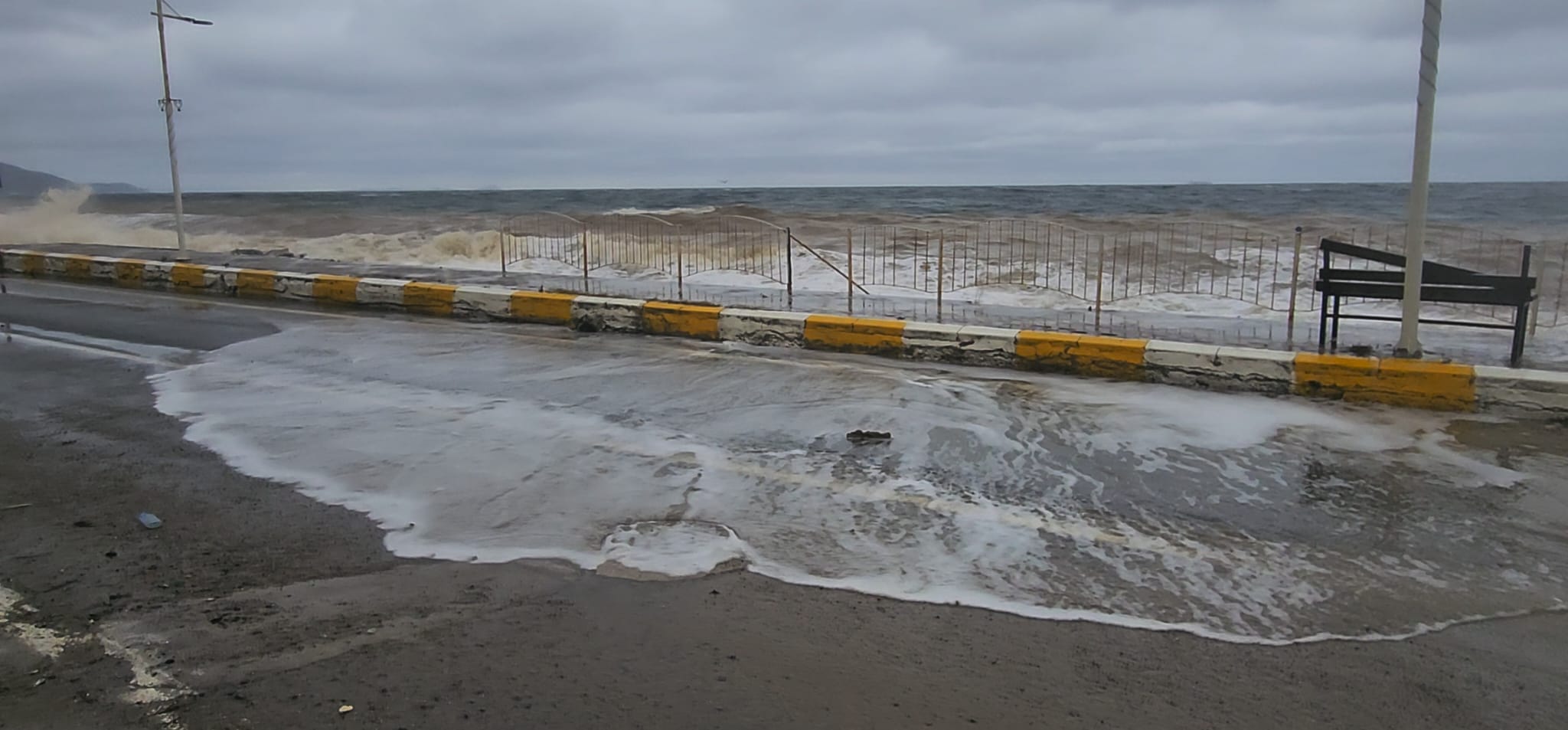 I M G 20260218 W A0056