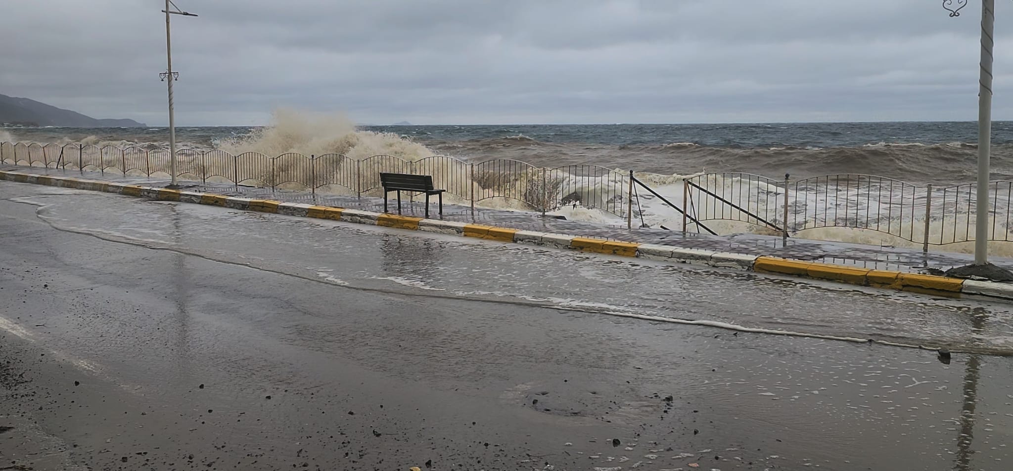 I M G 20260218 W A0058