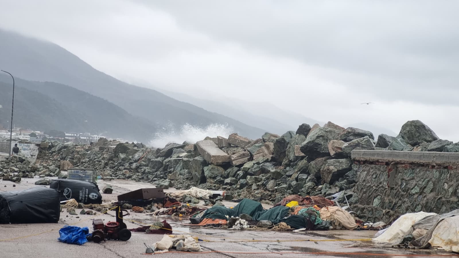 I M G 20260218 W A0059