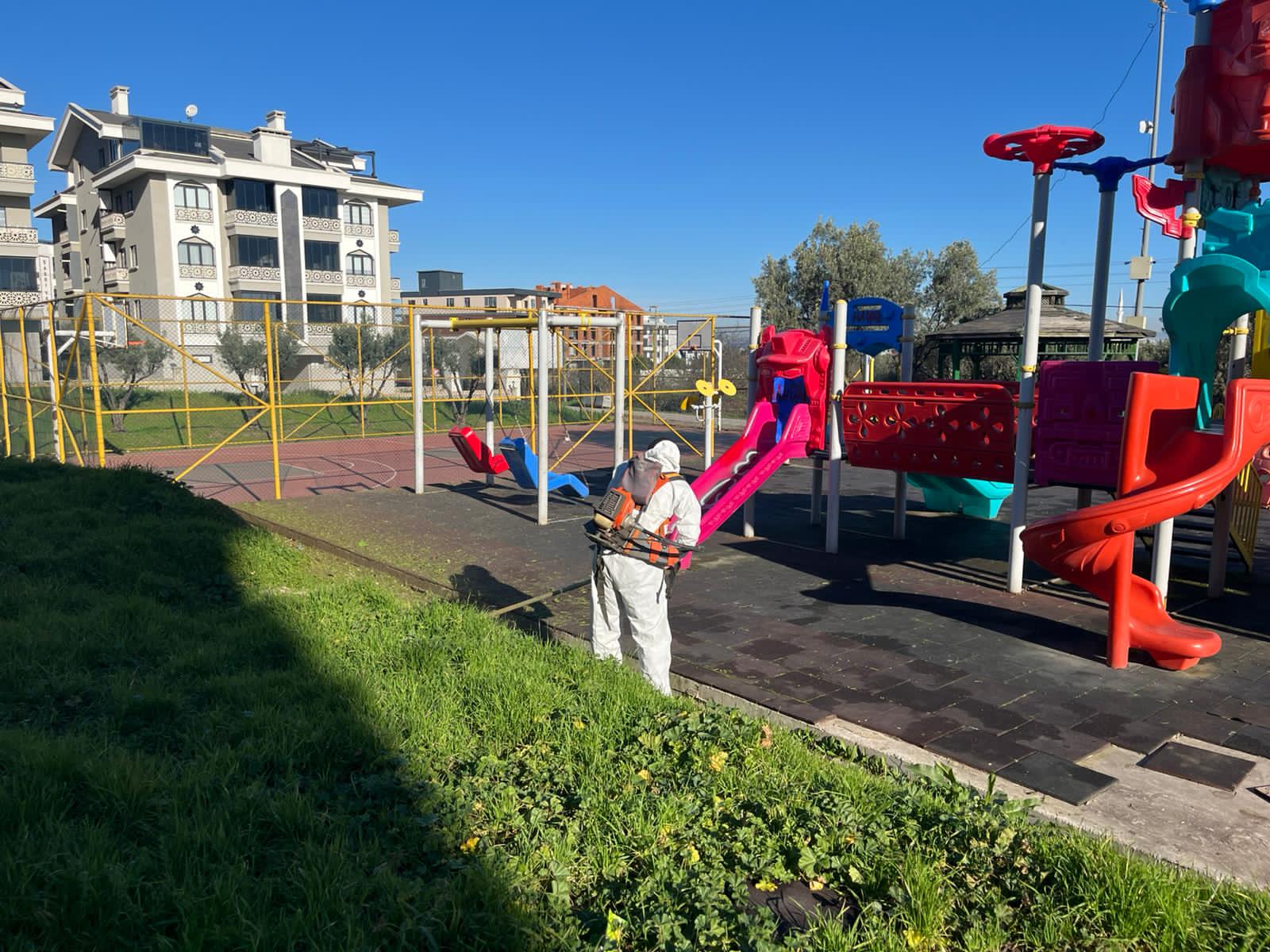 I M G 20260220 W A0066