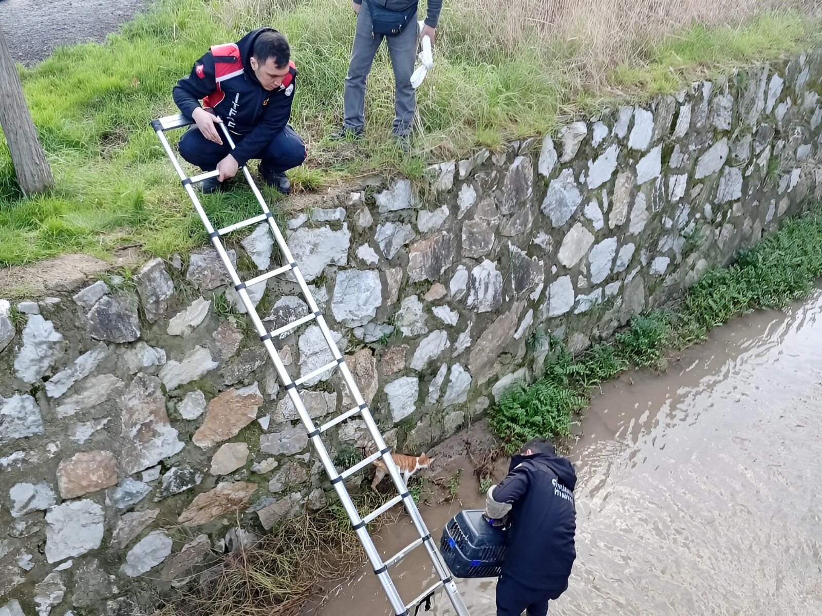 I M G 20260226 W A0015