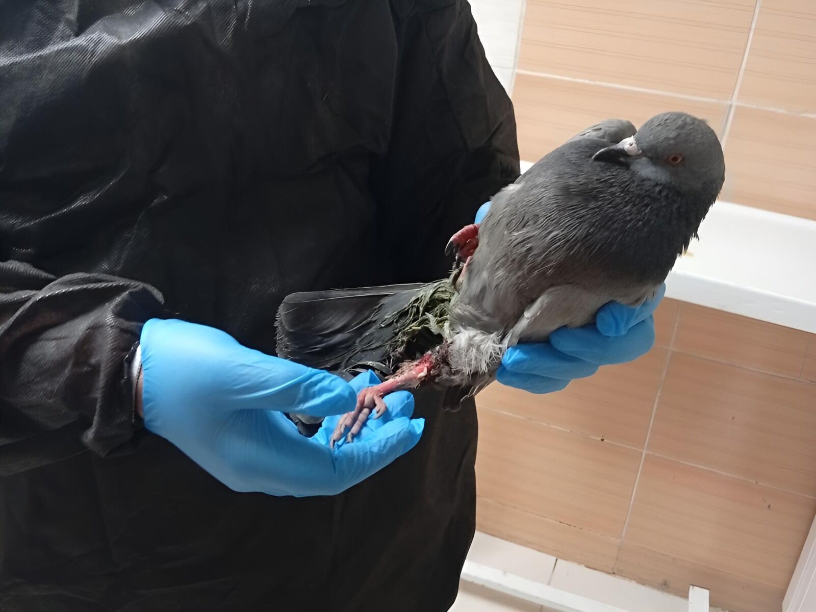 I M G 20260226 W A0018