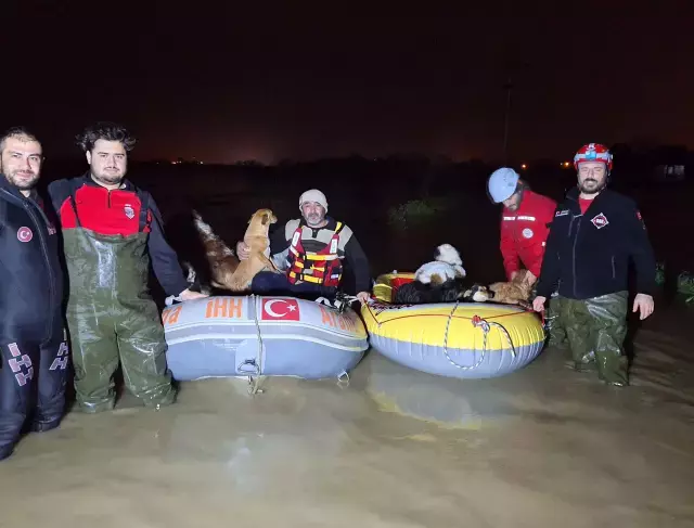 Kent Felaketi Yasiyor Restoran Bile Akintiya 19566471 4533 M