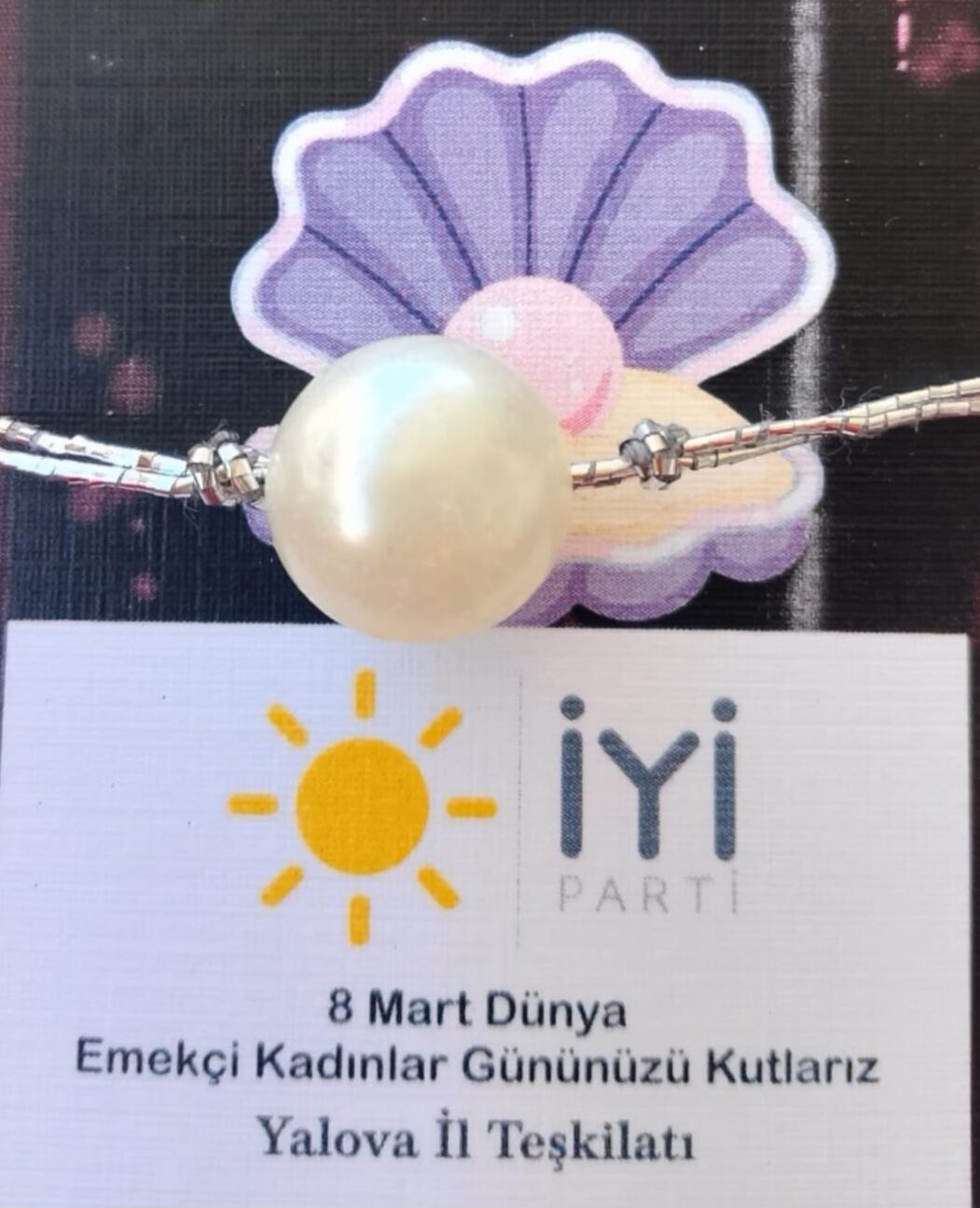 I M G 20260308 W A0038