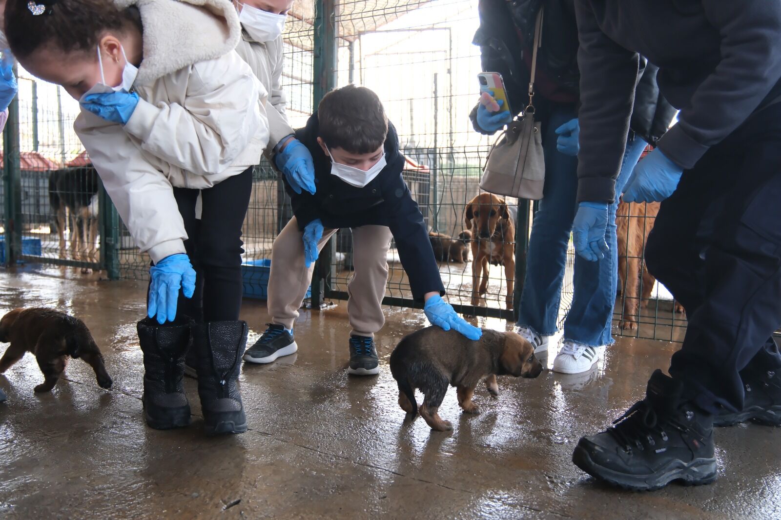 I M G 20260311 W A0003