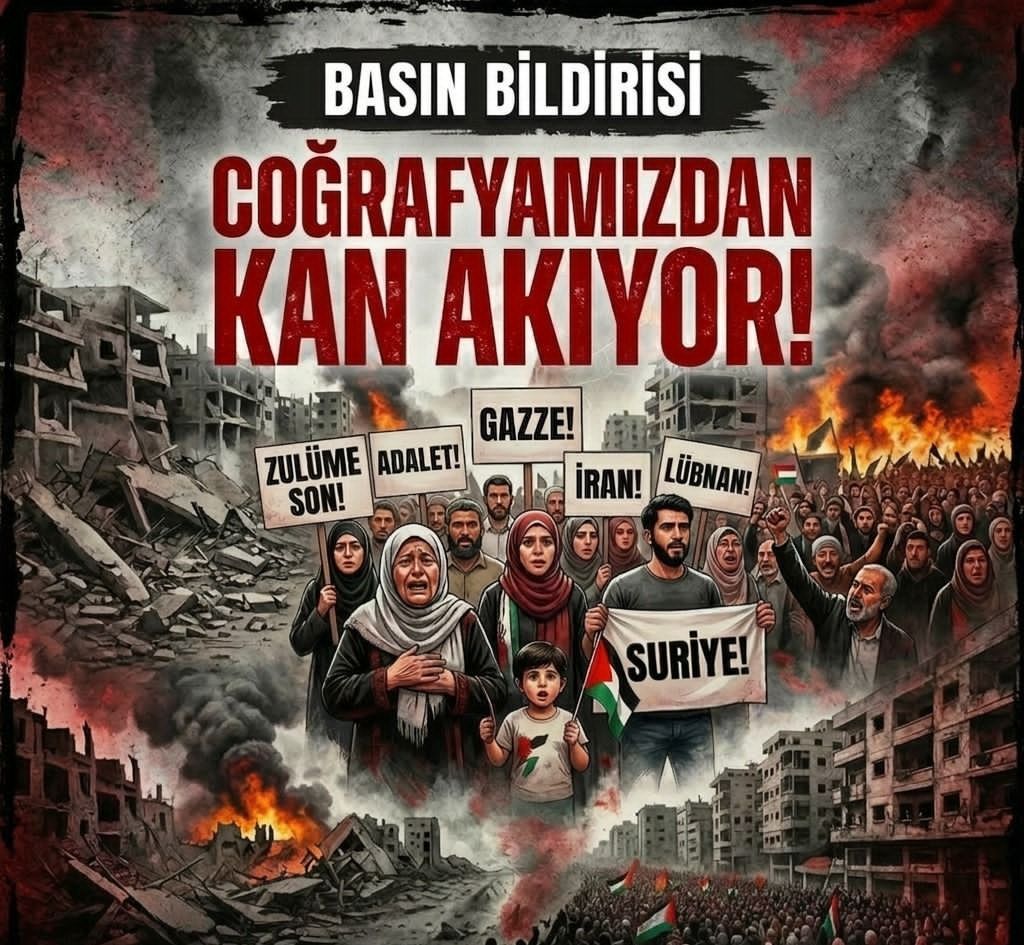 I M G 20260312 W A0001