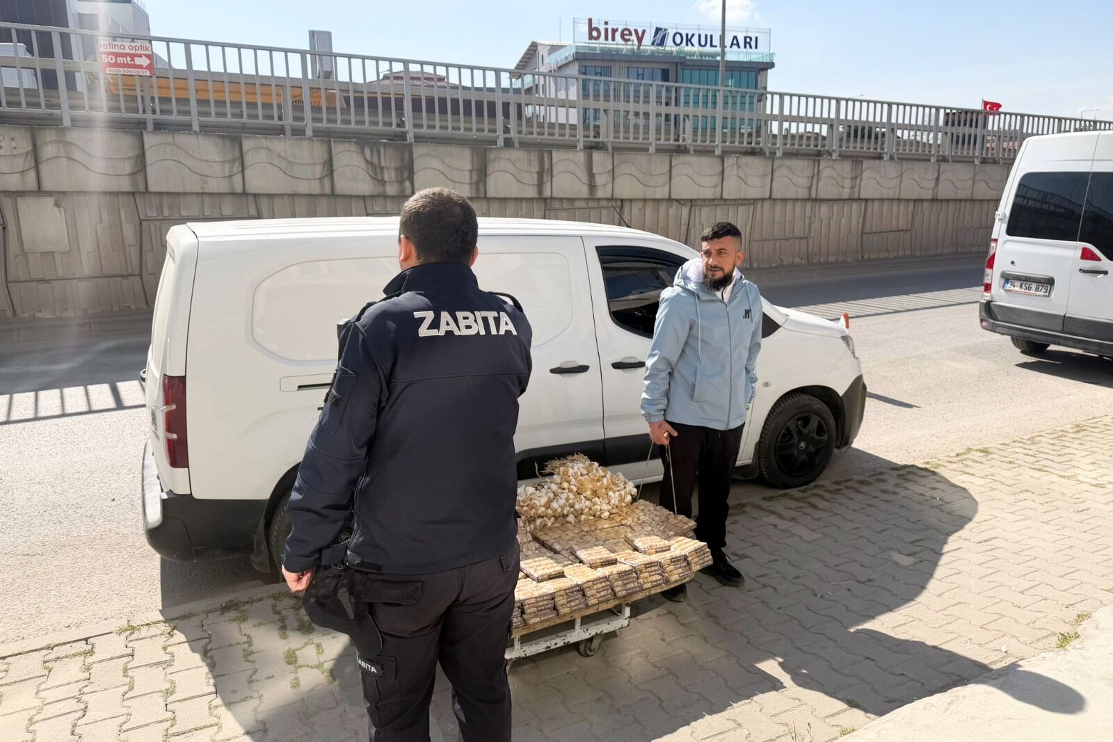 I M G 20260313 W A0004