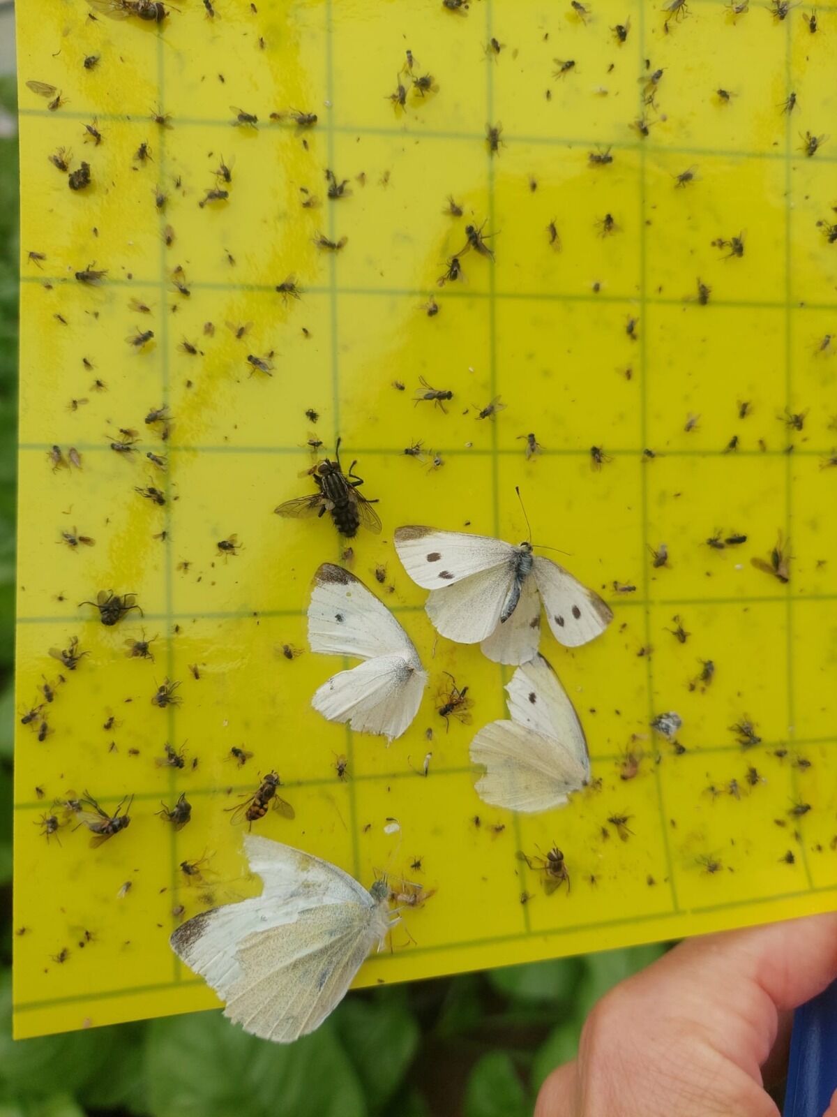 I M G 20260314 W A0001