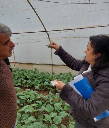 I M G 20260314 W A0003