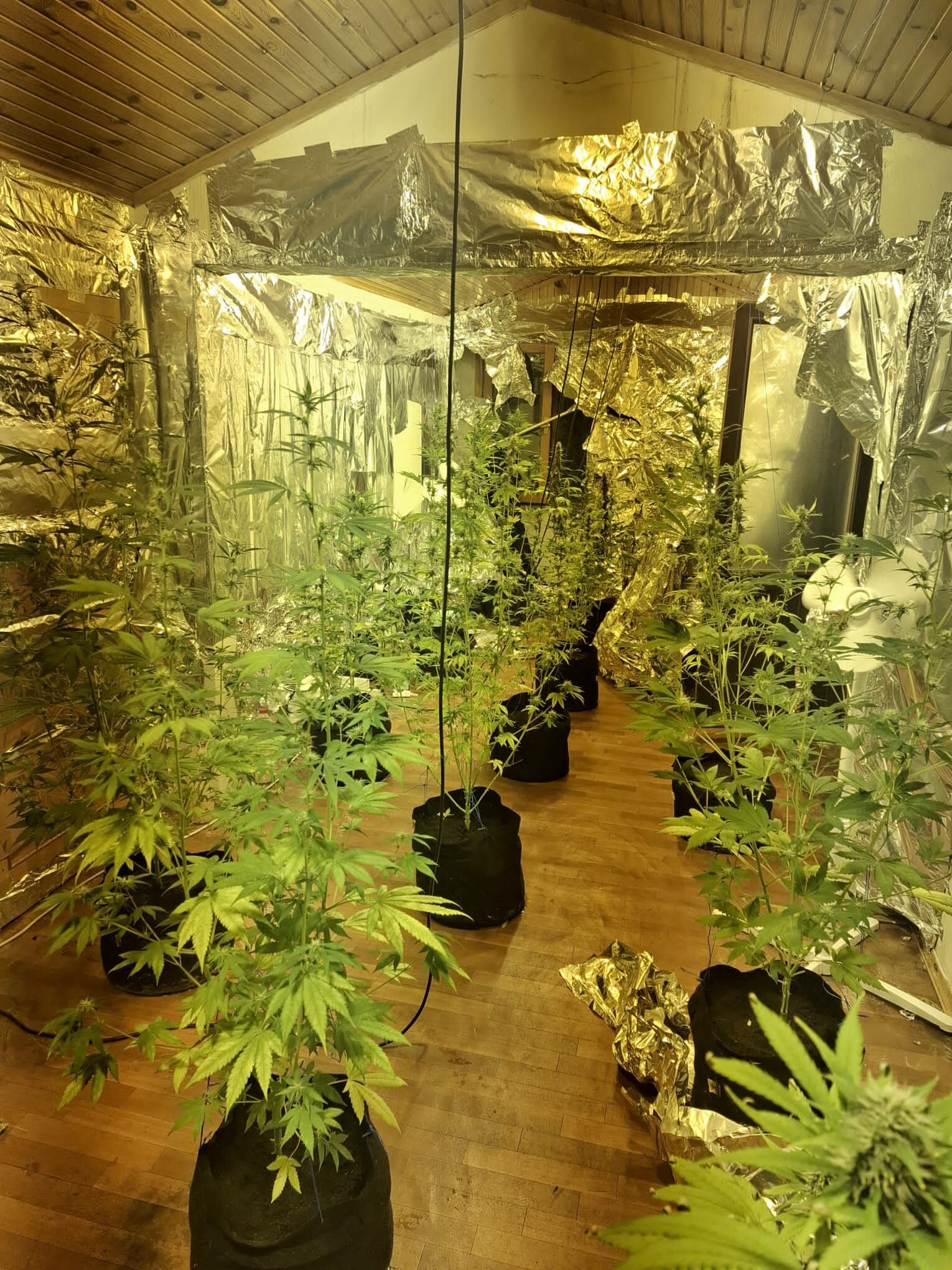 I M G 20260315 W A0005