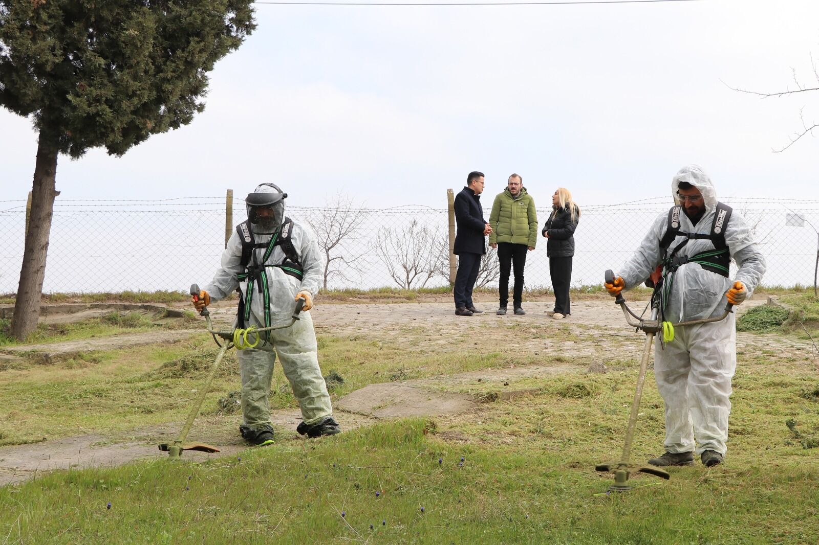 I M G 20260318 W A0032