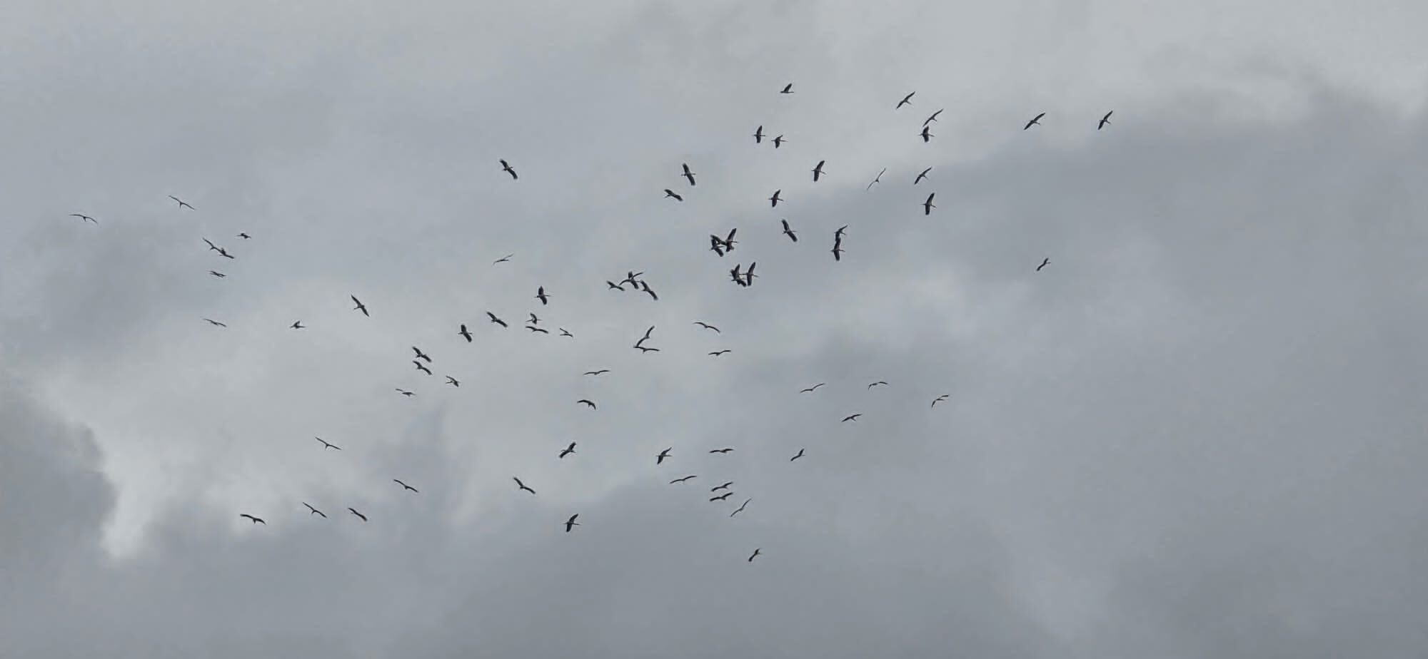 I M G 20260324 W A0004