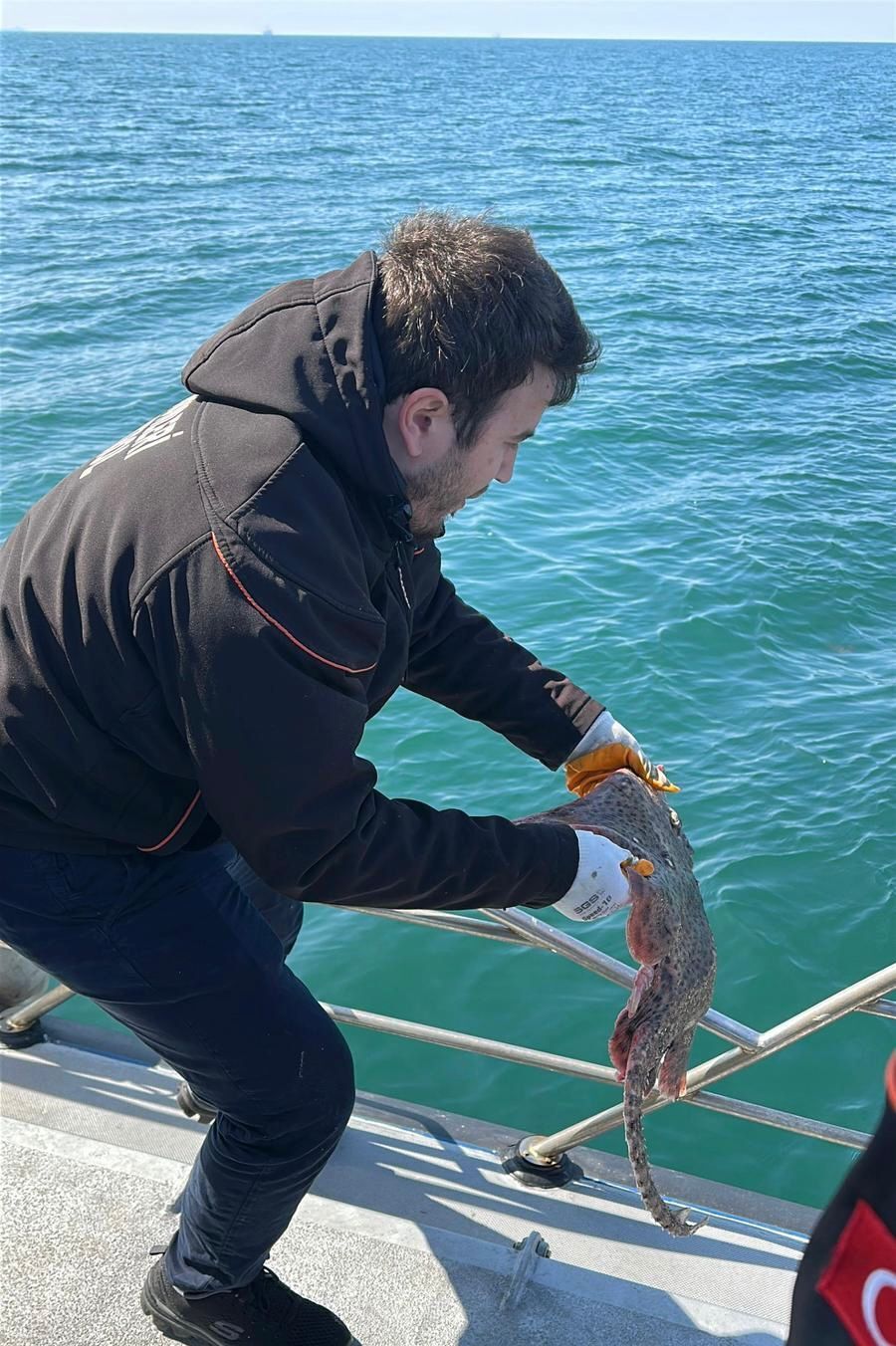 I M G 20260326 W A0088