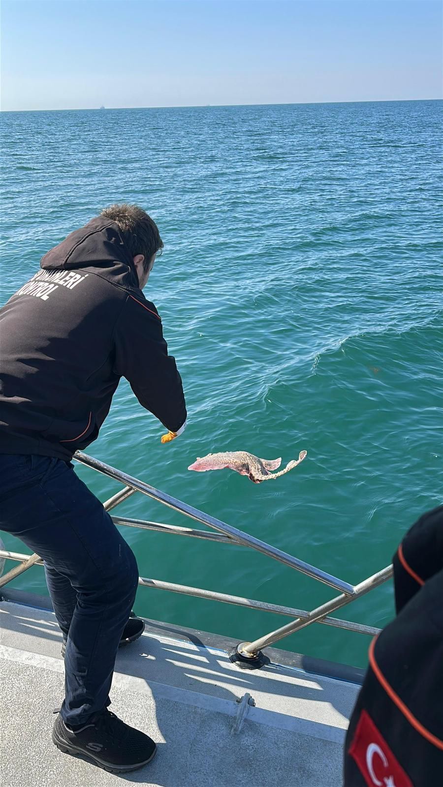 I M G 20260326 W A0090