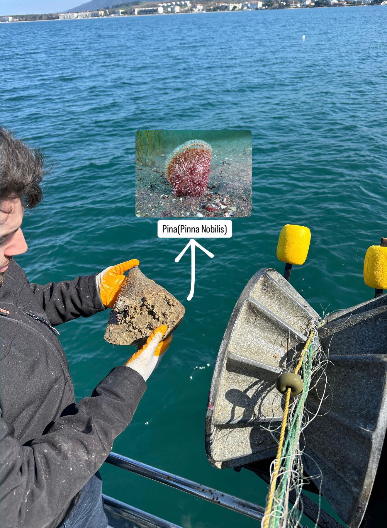 I M G 20260326 W A0092