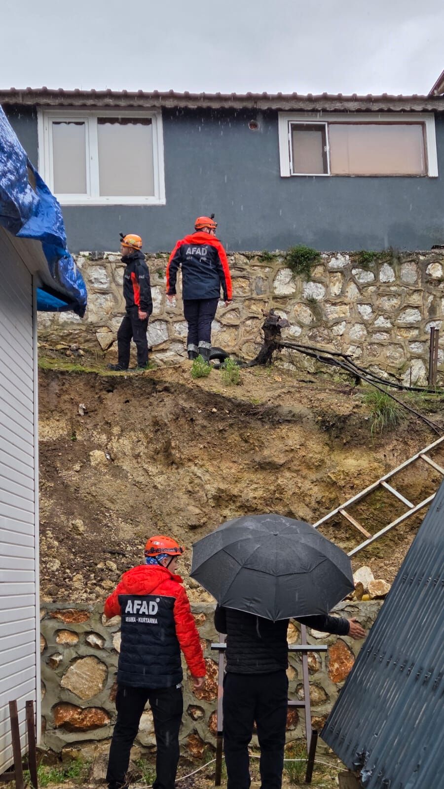 I M G 20260331 W A0010