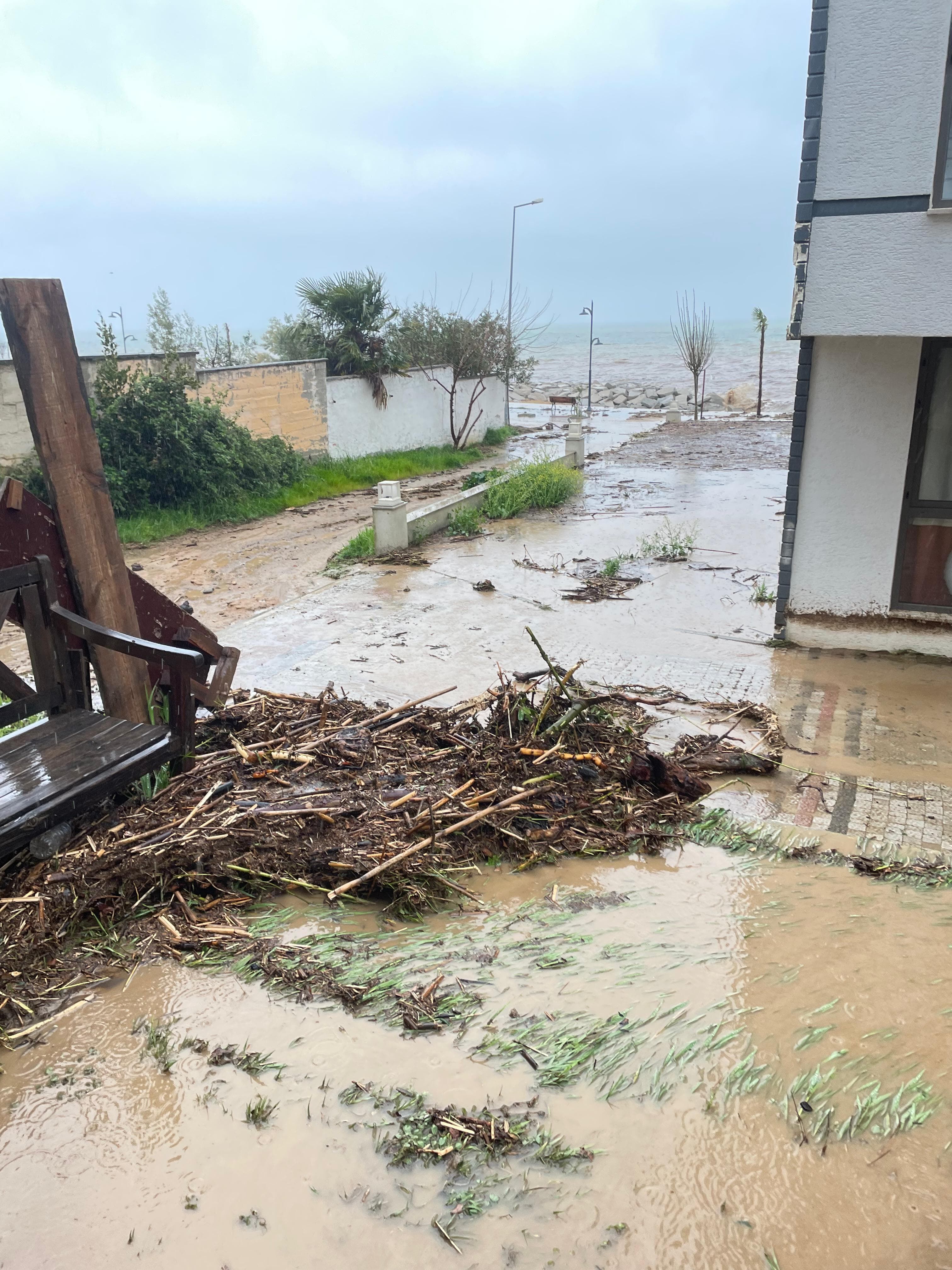 I M G 20260331 W A0051