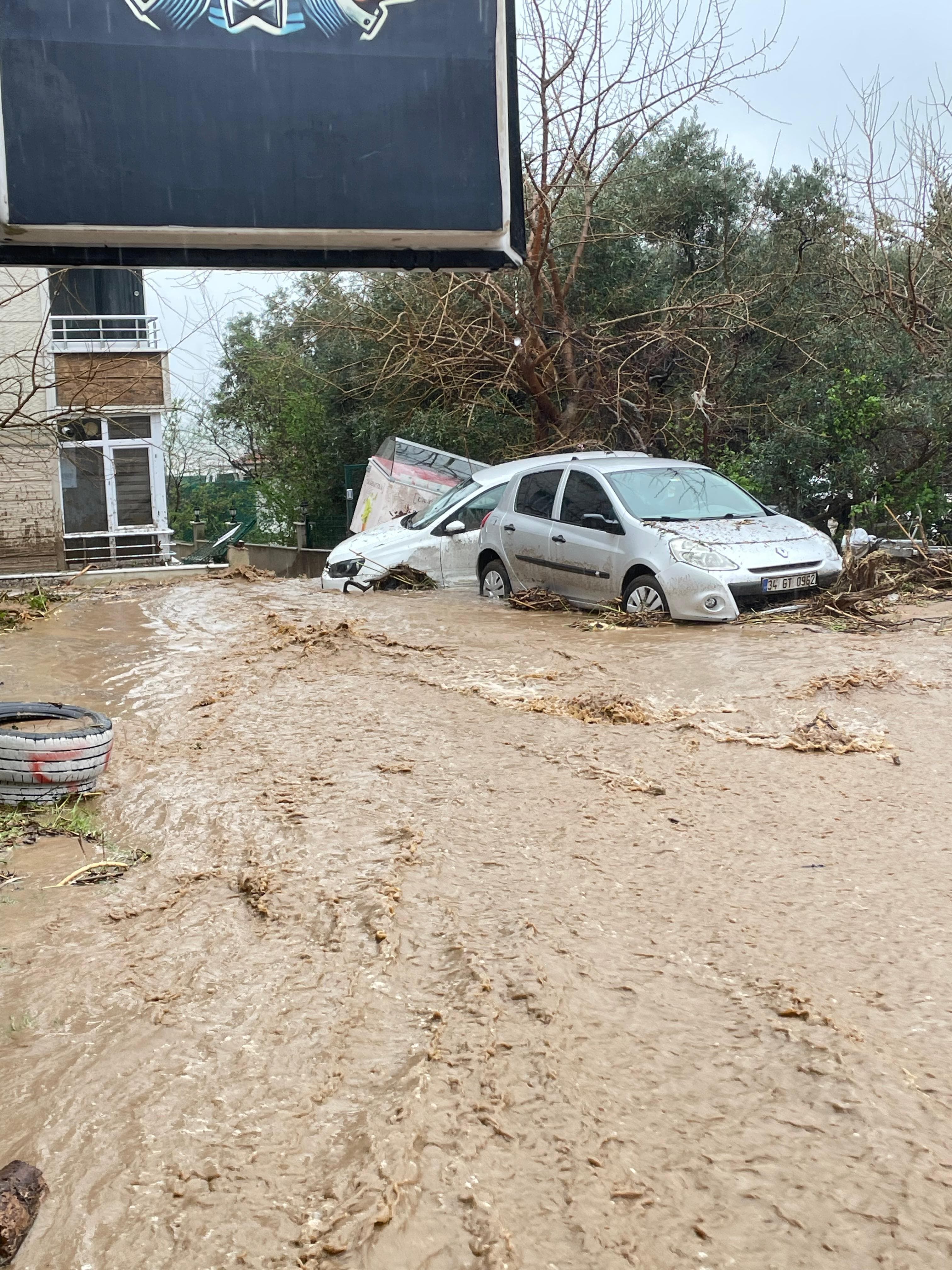 I M G 20260331 W A0052