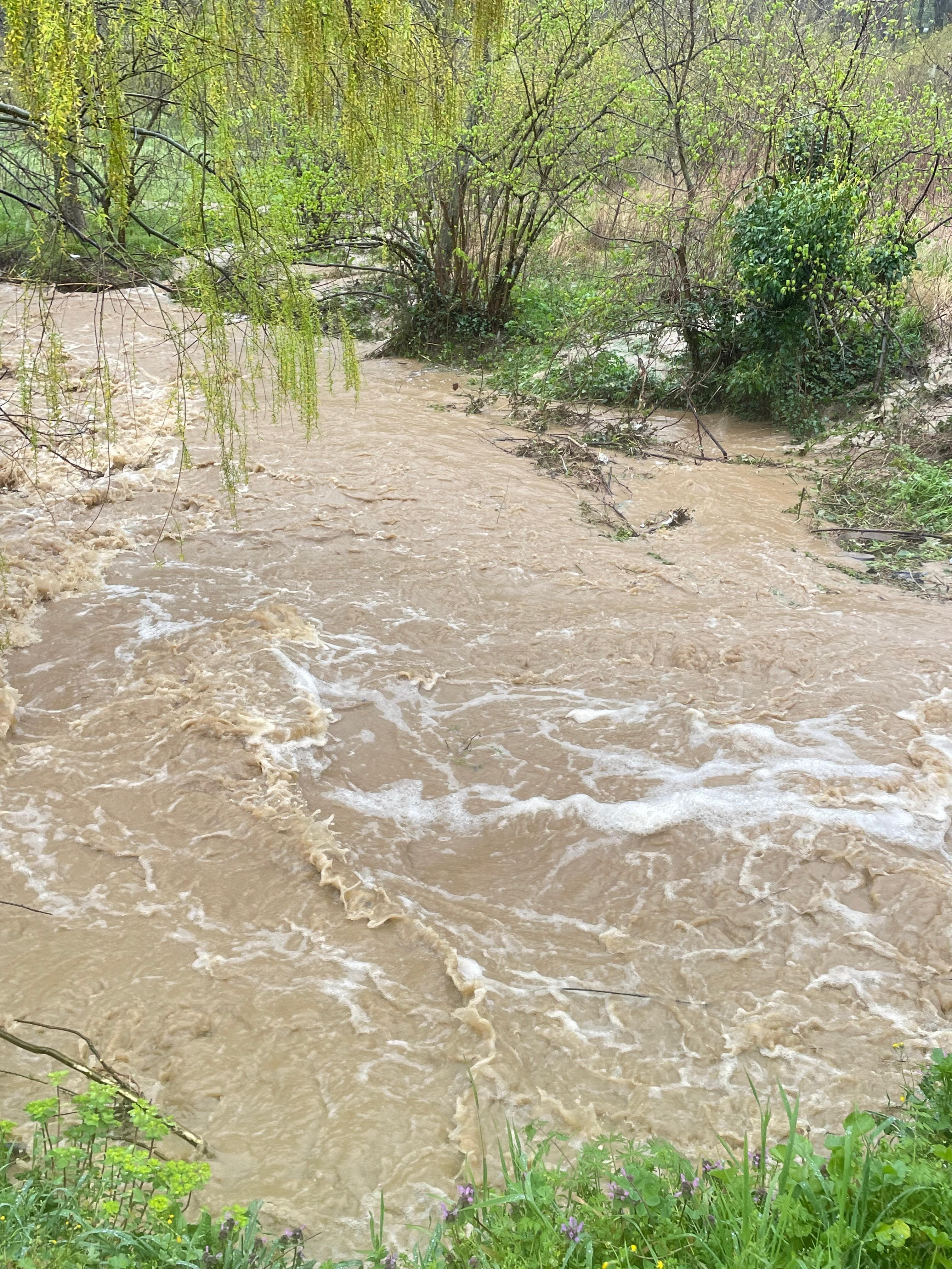 I M G 20260331 W A0058