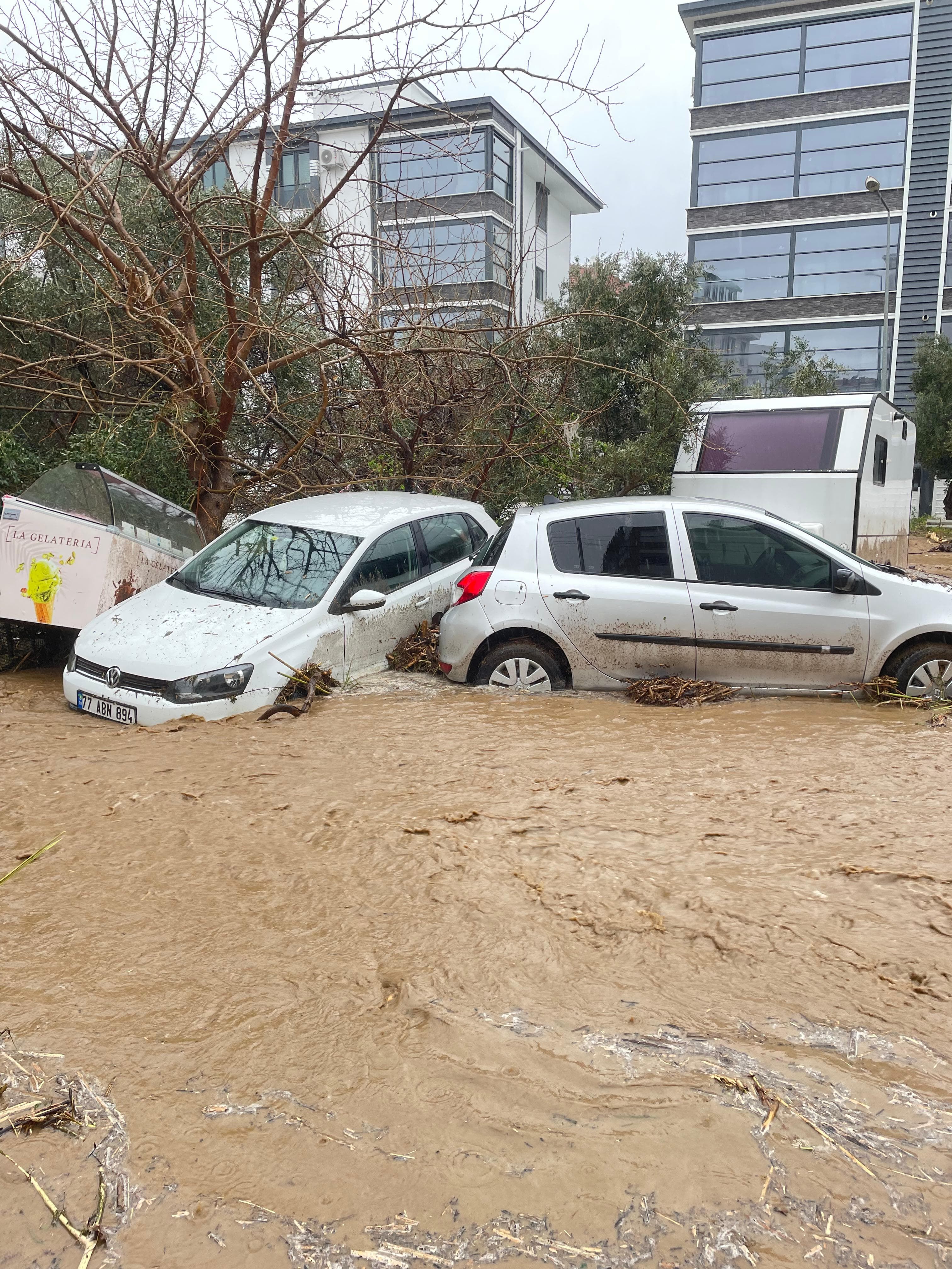 I M G 20260331 W A0064