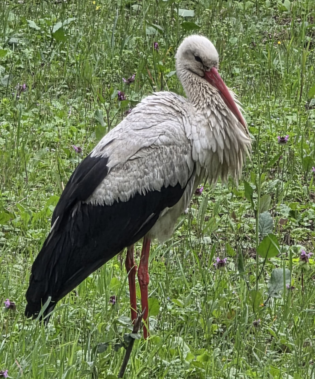 Screenshot 20260324 115600 Whats App