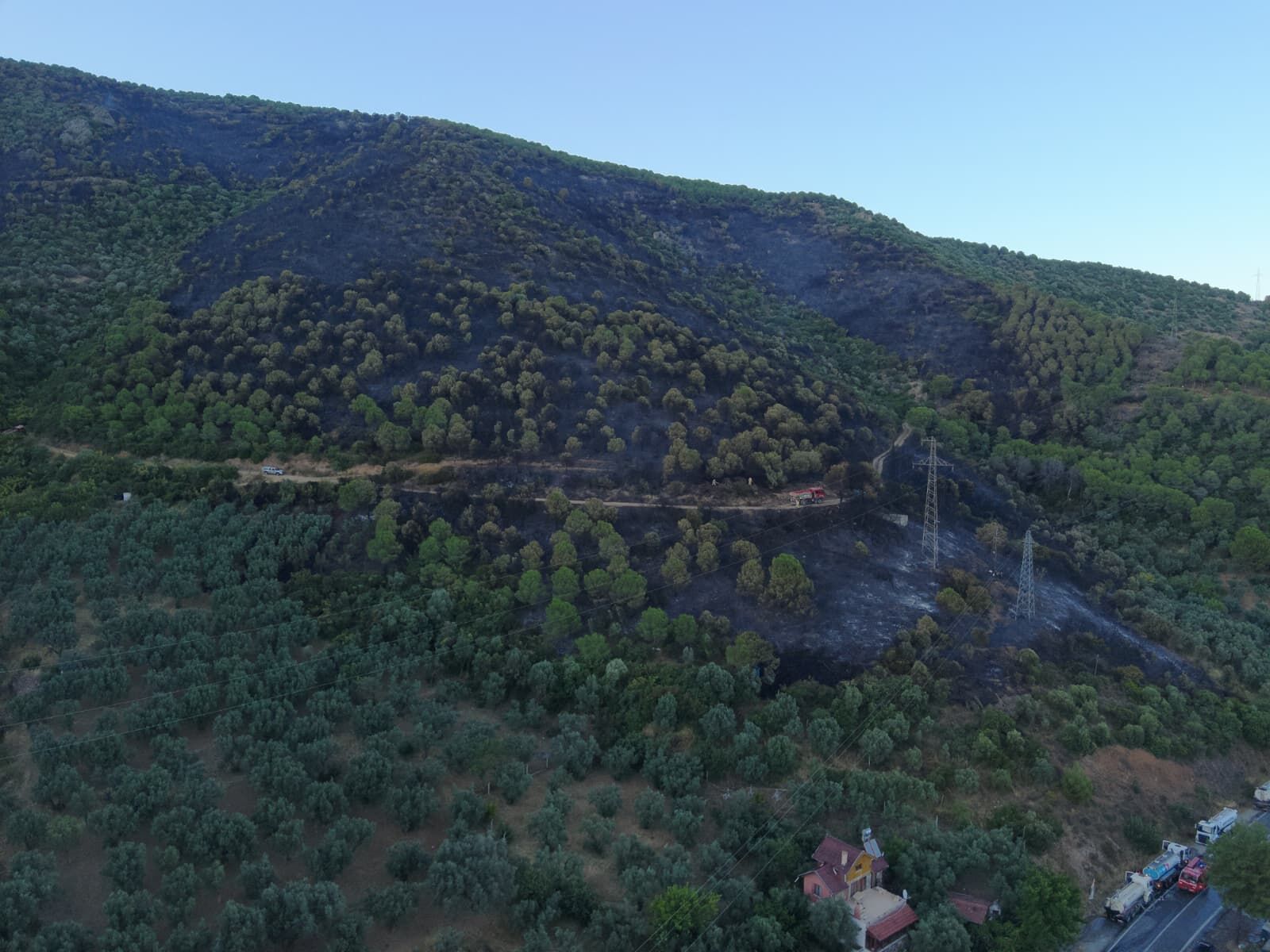 Orman Yangını-2
