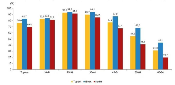 Internet Kullaniminda Artis