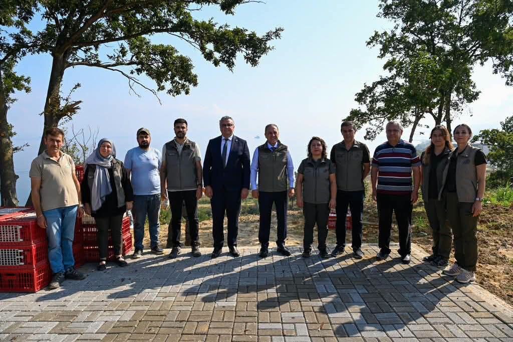 Kahverengi Kokarca Kene Biyolojik Mucadele Sulun