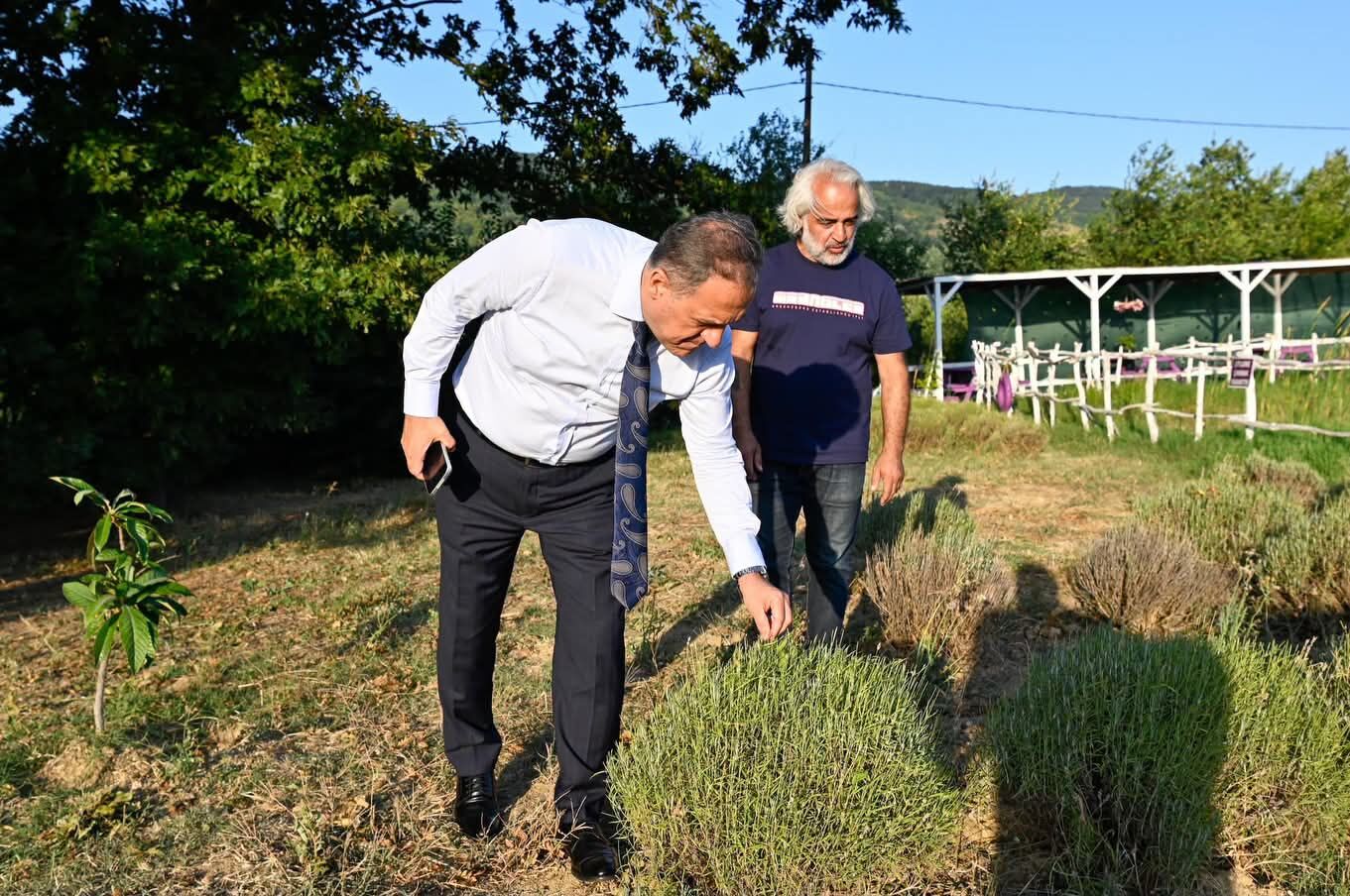 Yalovanin Huzur Rotasi Lavanta Yalovaya Ziyaret 5