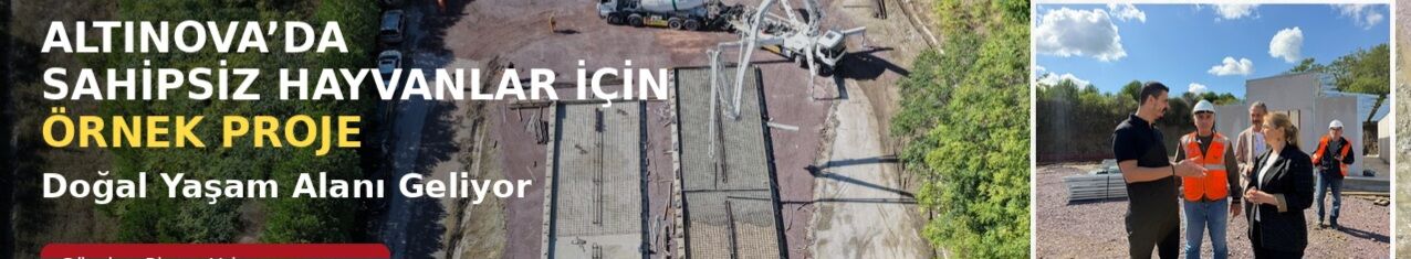 Altınova’da Sahipsiz Hayvanlar İçin Örnek Proje: Doğal Yaşam Alanı Geliyor