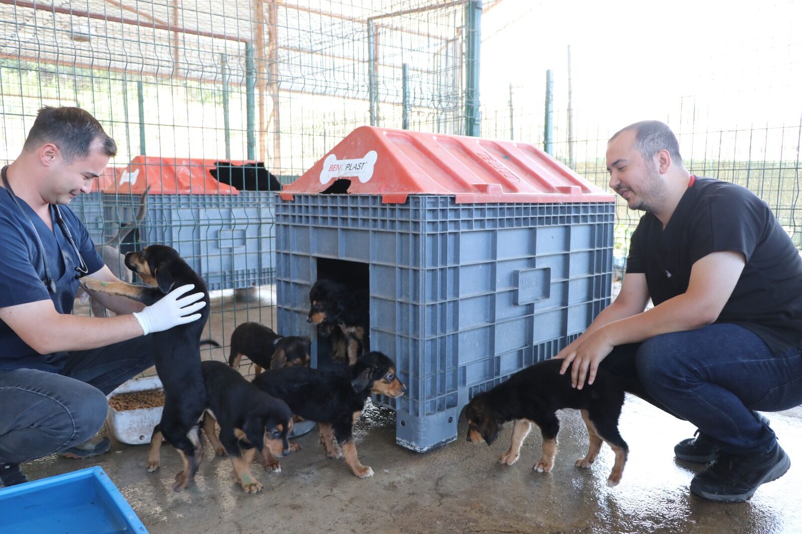 Sahiplen Yalova Ciftlikkoy Mobil Uygulamasi