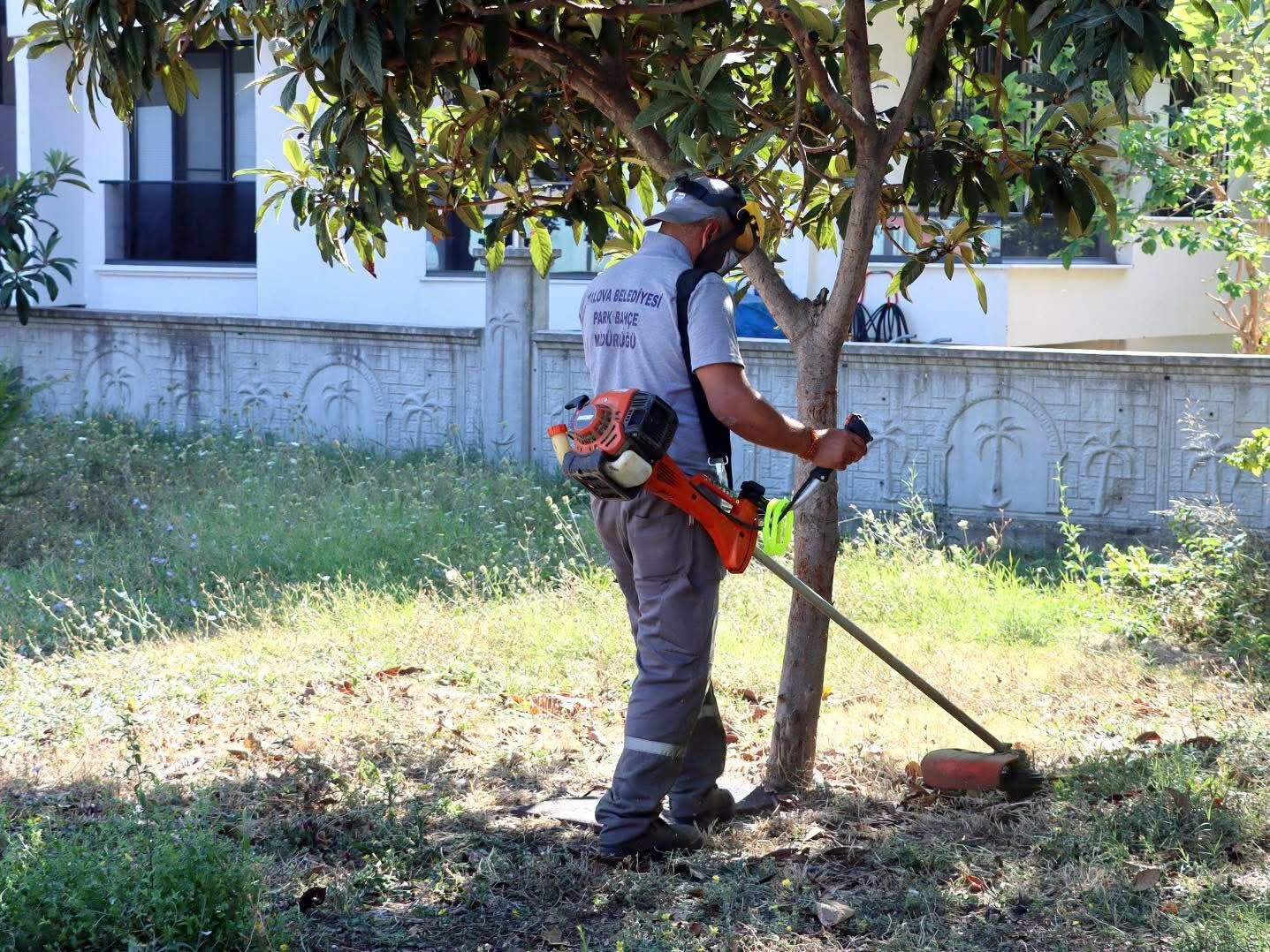 Yalova Belediyesi Saha Ve Altyapi Calismalari