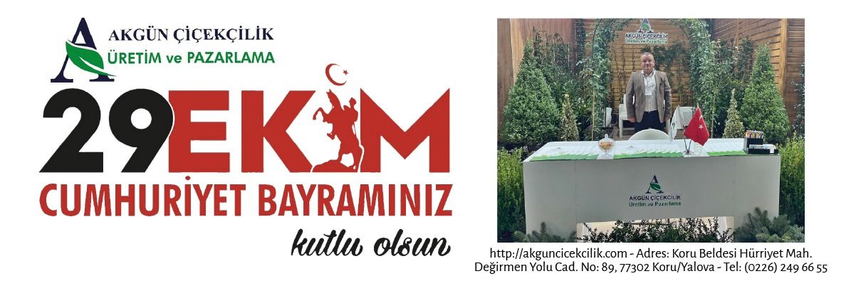 Reklam Bloğu