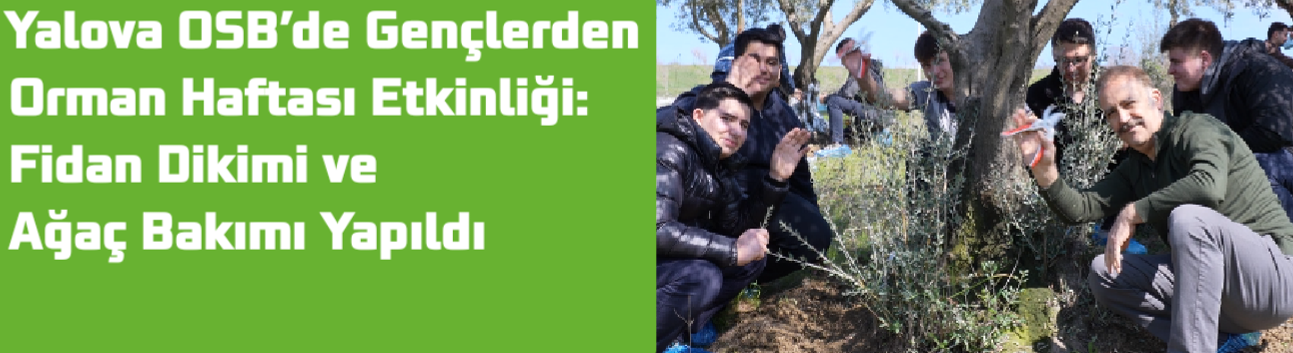 Yalova OSB’de Gençlerden Orman Haftası Etkinliği: Fidan Dikimi ve Ağaç Bakımı Yapıldı